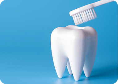 歯の再石灰化を促進する
